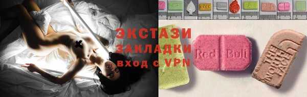 гашик Гусев