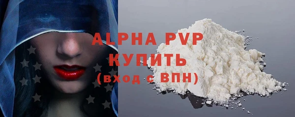 гашик Гусев