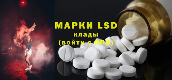 гашик Гусев