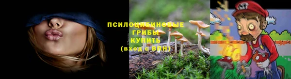 мескалин Гусь-Хрустальный