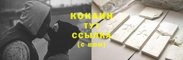 шишки Волоколамск